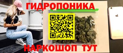 дурь Кимры