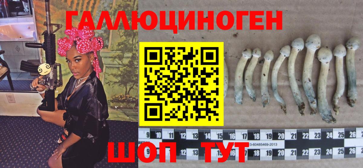 Галлюциногенные грибы мицелий  Вход с VPN  Комсомольск-на-Амуре 